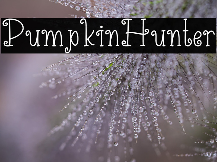 PumpkinHunter Example 3