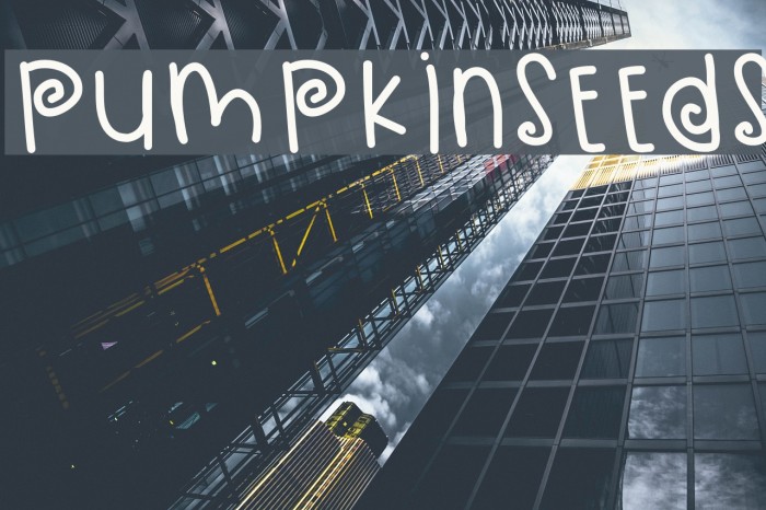 PumpkinSeeds Example 1