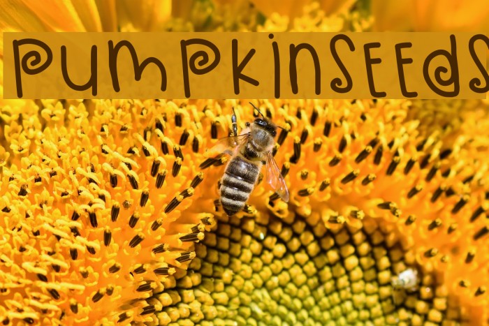 PumpkinSeeds Example 2