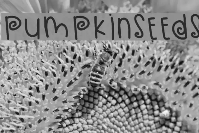 PumpkinSeeds Font examples