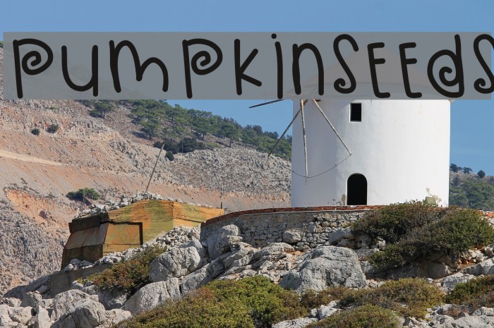 PumpkinSeeds Example 3