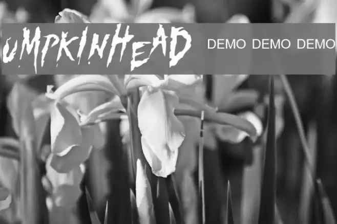 Pumpkinhead DEMO Font examples