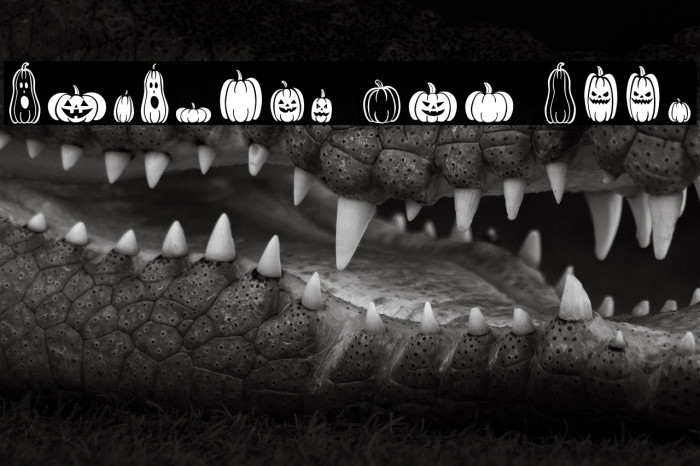 Pumpkins Are Cool Example 1