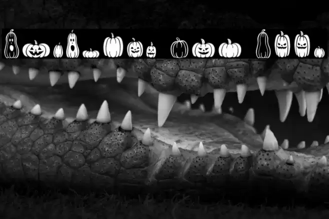 Pumpkins Are Cool Font examples