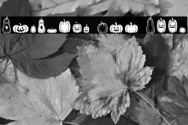 Pumpkins Are Cool Font examples