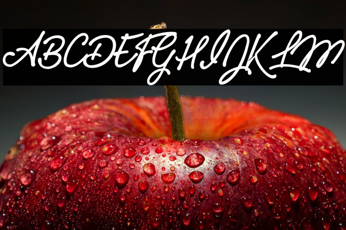 Pumpkins Personal Use  Example 1