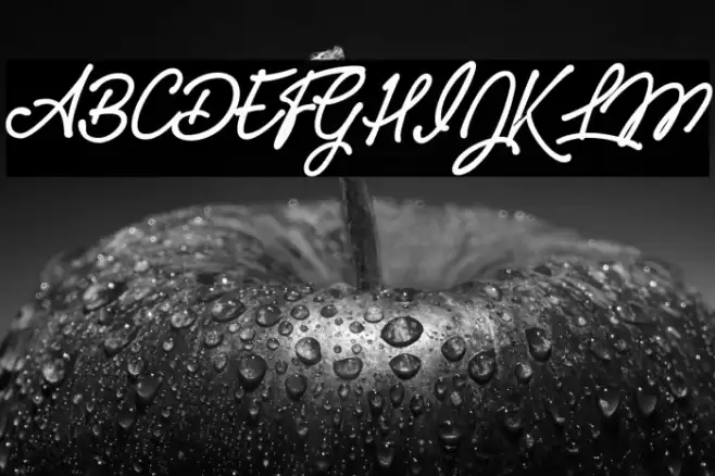 Pumpkins Personal Use  Font examples