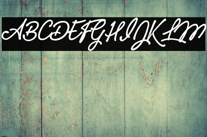 Pumpkins Personal Use  Example 2