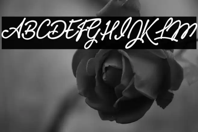 Pumpkins Personal Use  Font examples