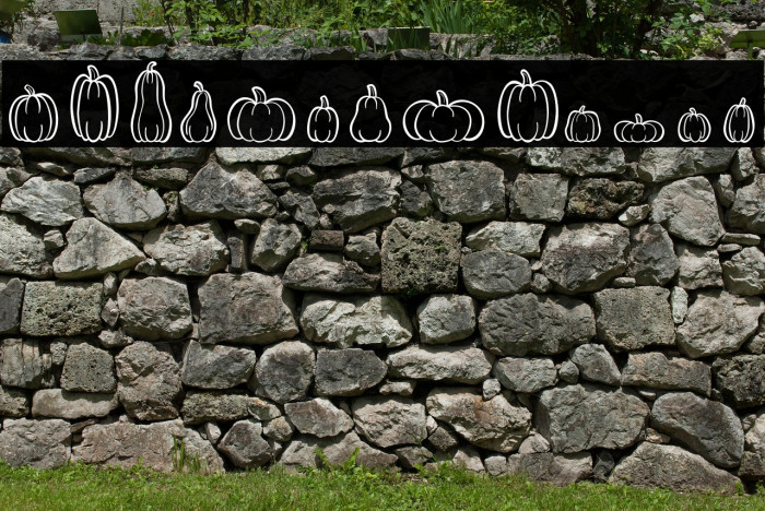 PumpkinsAreCool Example 1