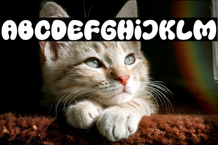 PumpkinsNightmare-Regular Example 1