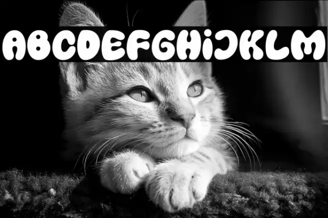 PumpkinsNightmare-Regular फ़ॉन्ट examples