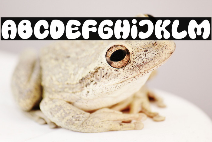 PumpkinsNightmare-Regular Example 3