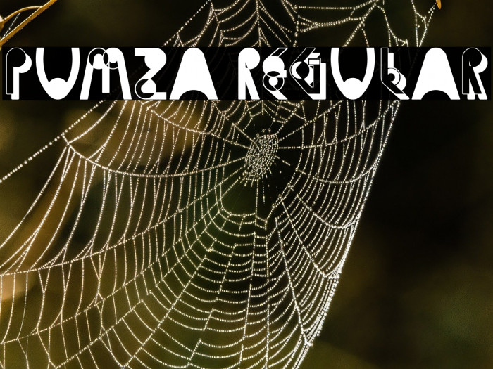 Pumza Regular Example 1