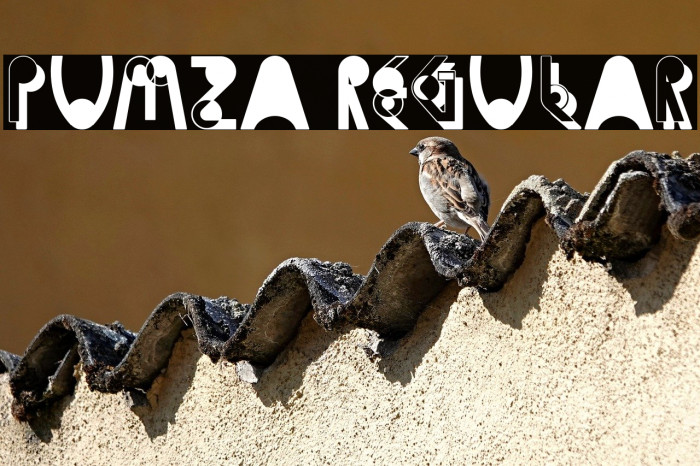 Pumza Regular Example 3