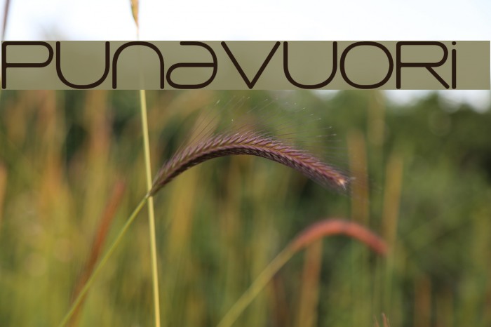 Punavuori 00150 Font examples