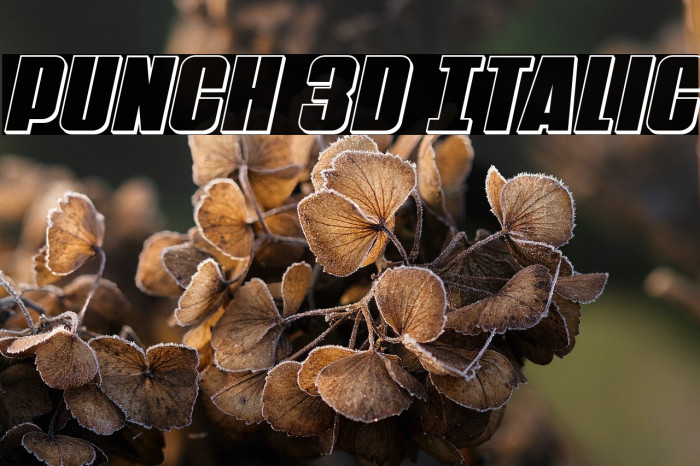 Punch 3D Italic Example 1