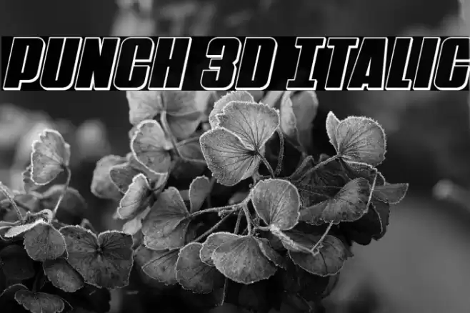 Punch 3D Italic Font examples