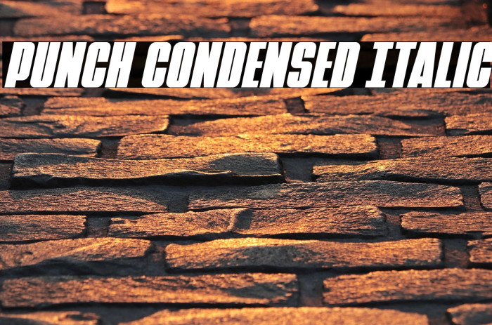 Punch Condensed Italic Example 1