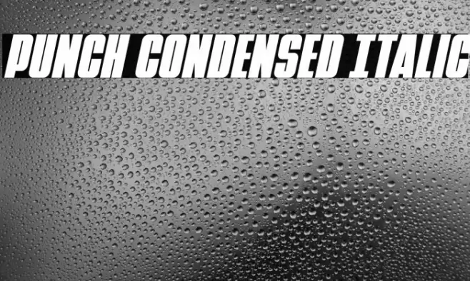 Punch Condensed Italic Font examples