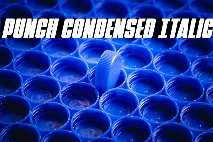 Punch Condensed Italic Example 3