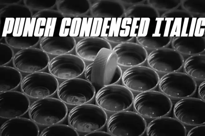 Punch Condensed Italic Font examples