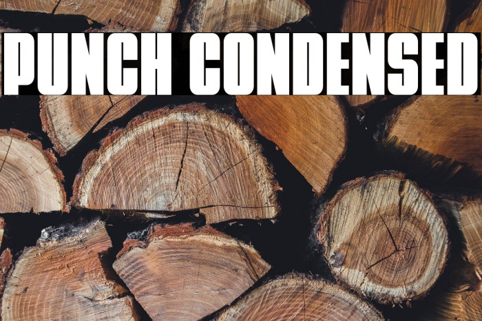 Punch Condensed Example 1