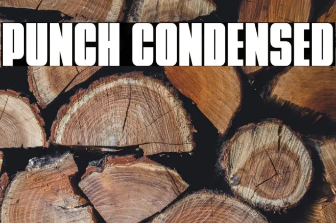 Punch Condensed Example 1