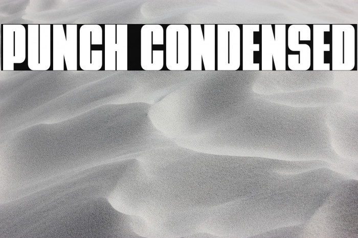 Punch Condensed Example 2