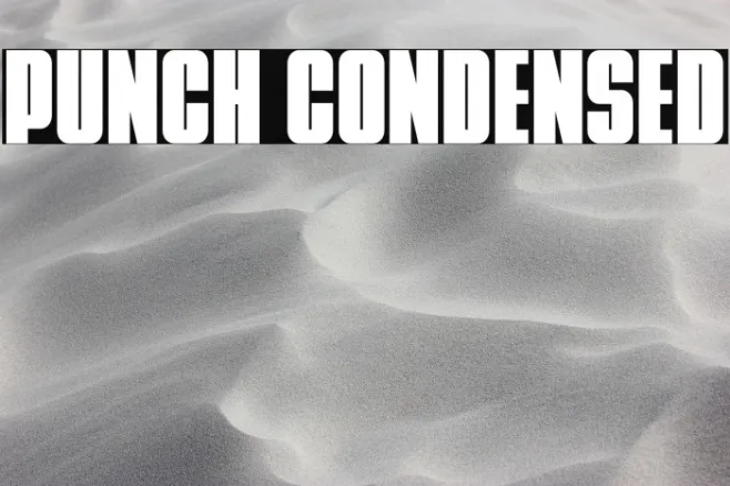 Punch Condensed Example 2