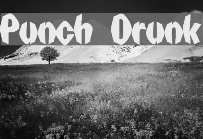 Punch Drunk Fonte examples