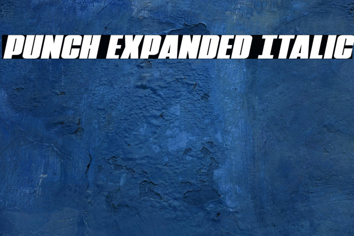 Punch Expanded Italic Example 3