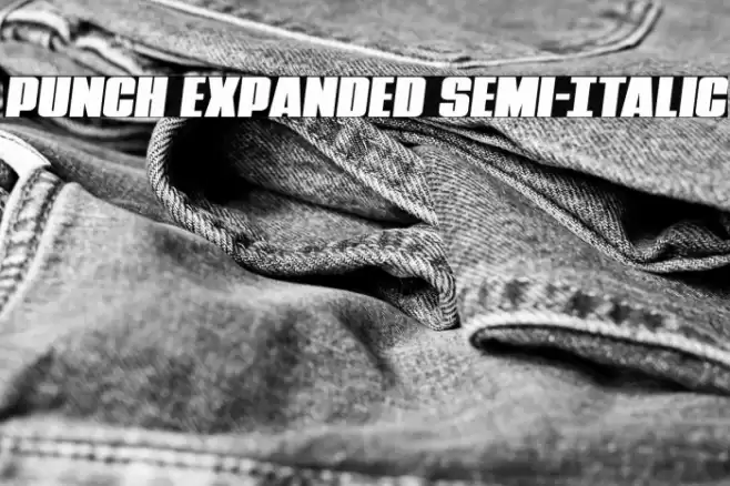 Punch Expanded Semi-Italic Font examples