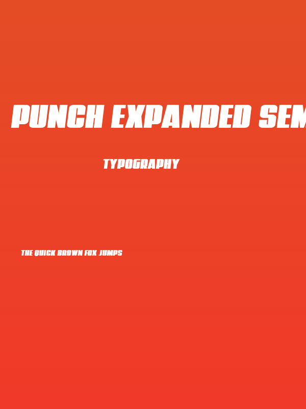 Punch Expanded Semi-Italic Poster
