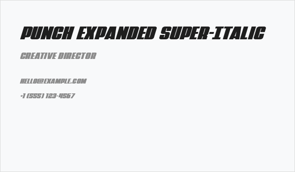 Punch Expanded Super-Italic Business Card