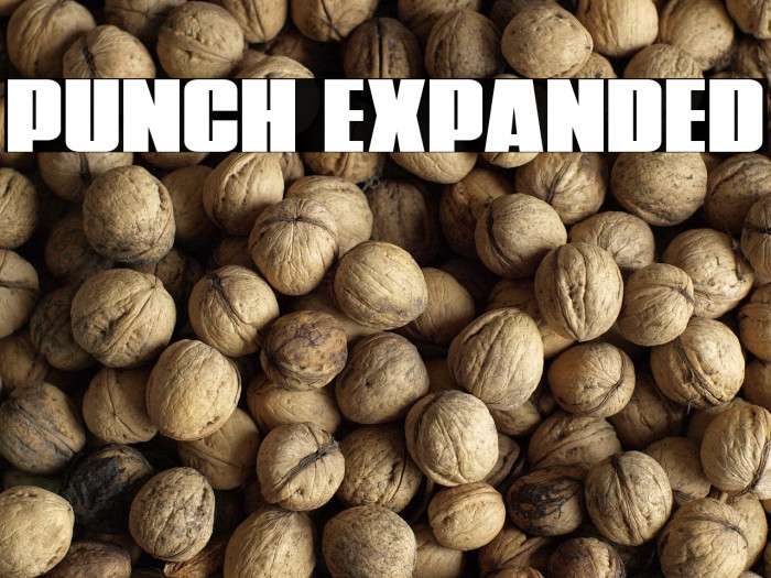 Punch Expanded Example 1