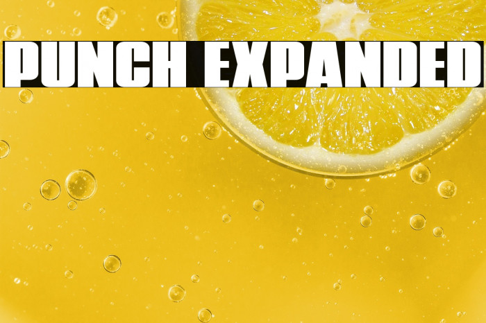 Punch Expanded Example 2