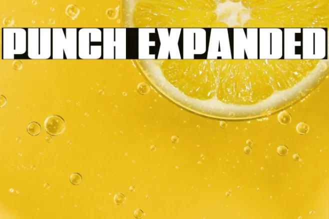 Punch Expanded Example 2