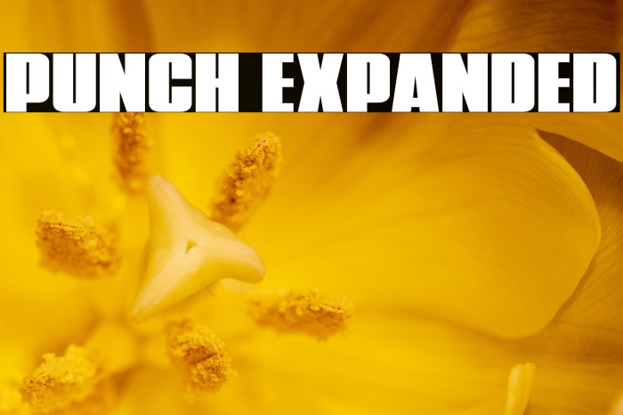 Punch Expanded Example 3