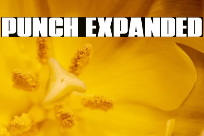 Punch Expanded Example 3