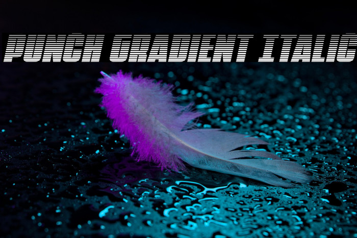 Punch Gradient Italic Example 1