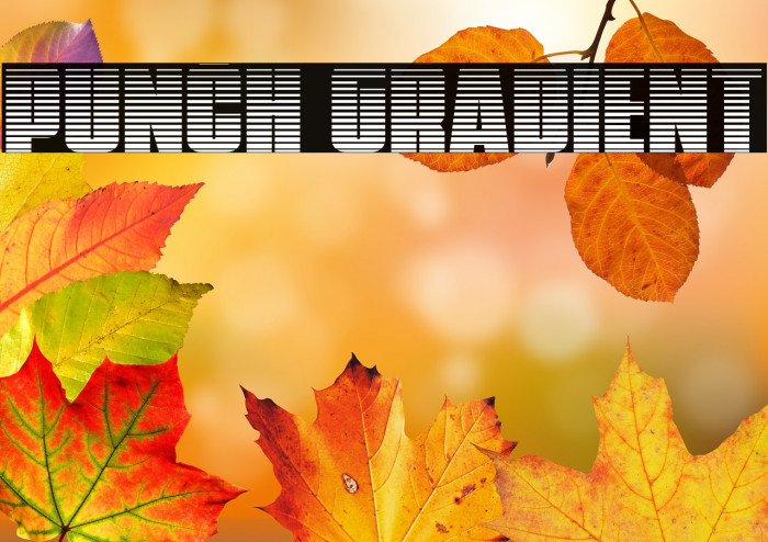 Punch Gradient Example 1