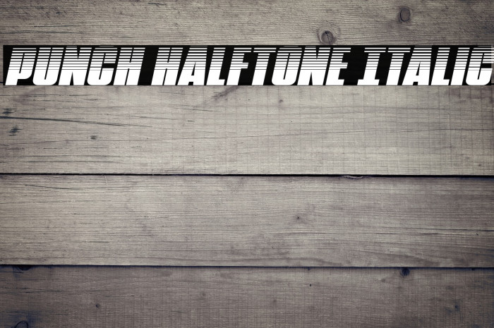 Punch Halftone Italic Example 1