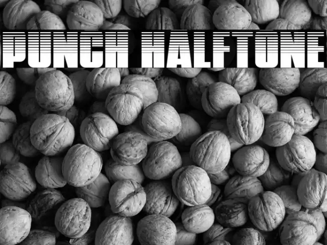 Punch Halftone Font examples