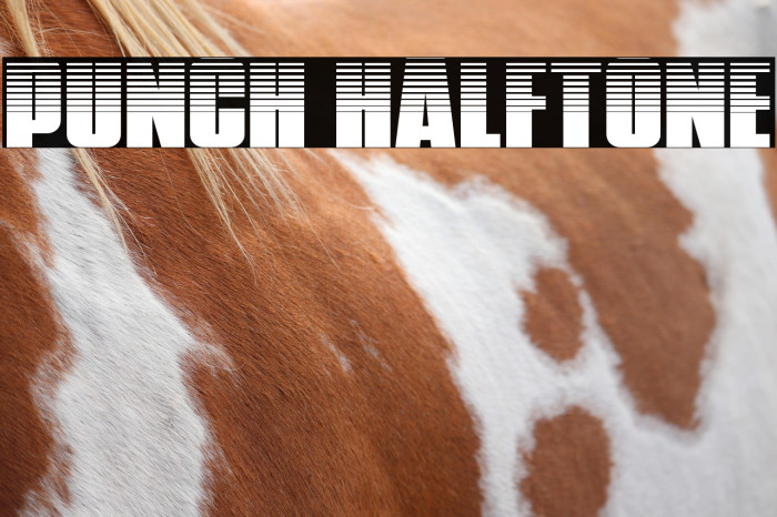 Punch Halftone Example 2