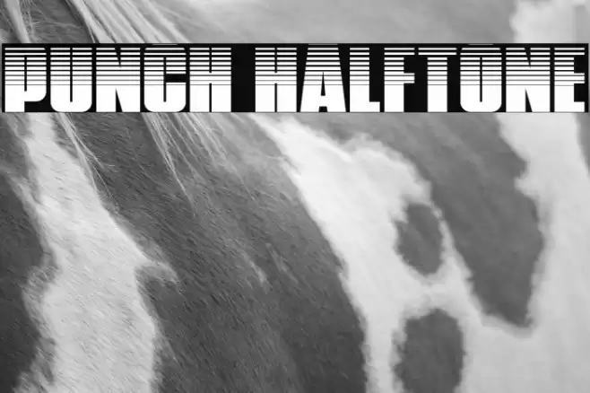 Punch Halftone Font examples