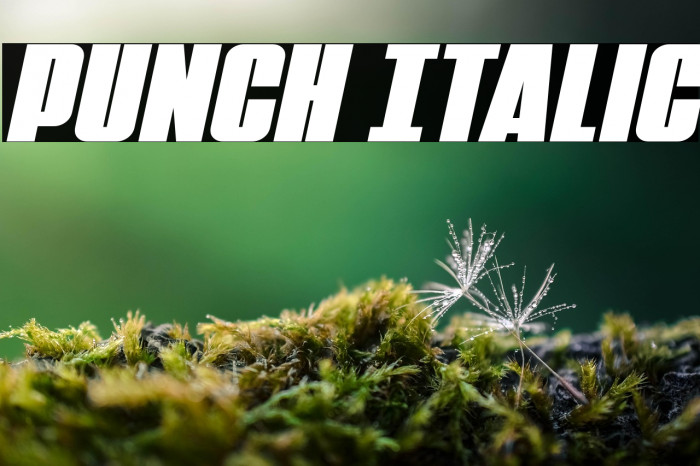 Punch Italic Example 2