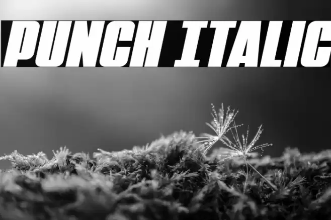 Punch Italic Font examples