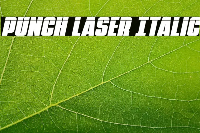 Punch Laser Italic Example 2