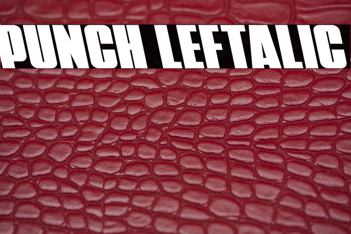 Punch Leftalic Example 3